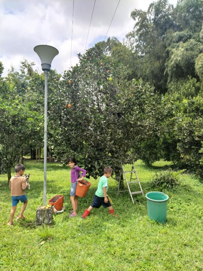 La Acuarela, Posada De La Monita Pereira Exterior foto