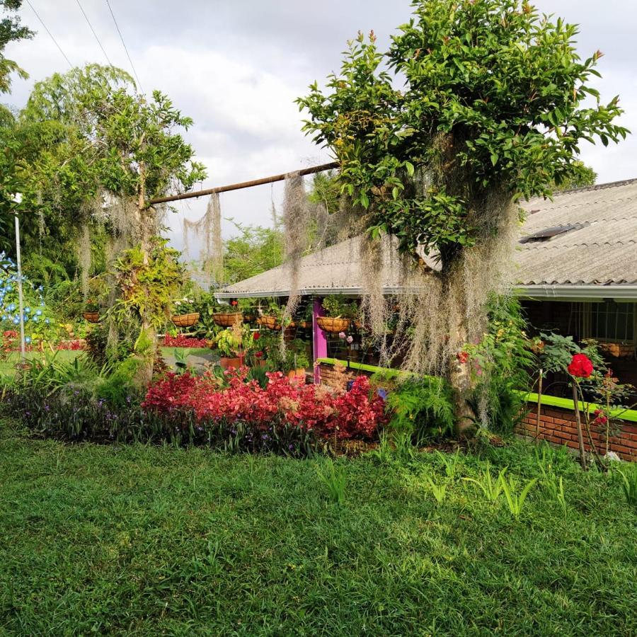 La Acuarela, Posada De La Monita Pereira Exterior foto